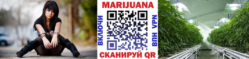 мега зеркало  купить наркотики сайты  Кодинск  Марихуана планчик 